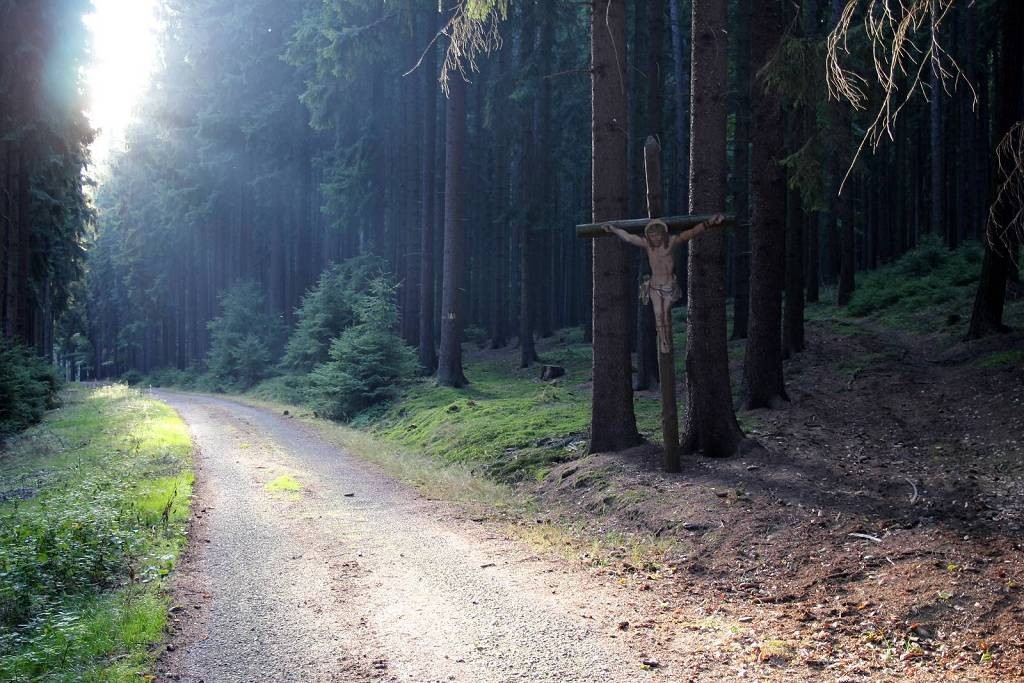 Cesta ke kapličce